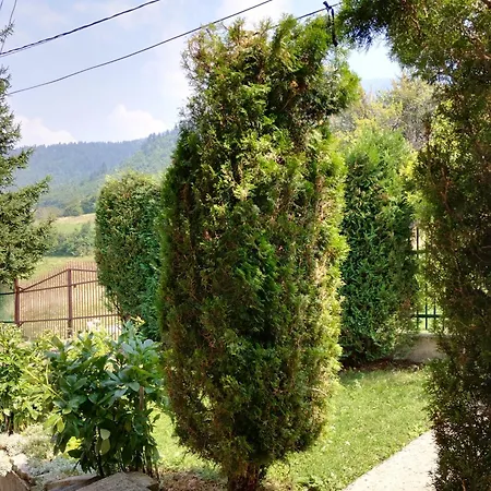 Holiday Nyaraló