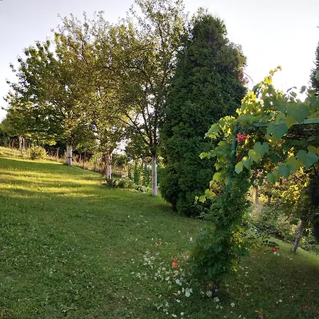Nyaraló Holiday
