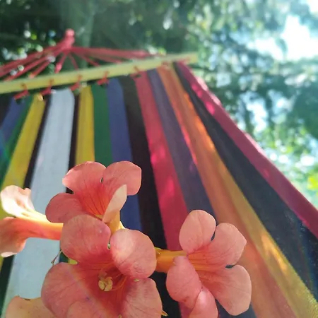 Holiday *